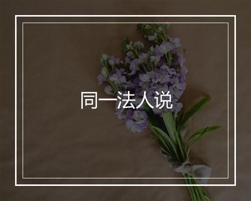 同一法人说