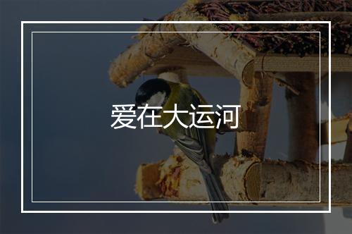 爱在大运河