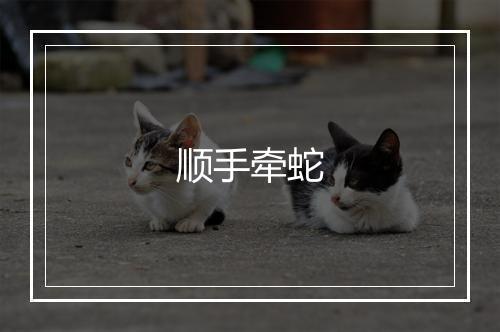 顺手牵蛇