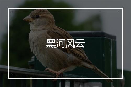 黑河风云