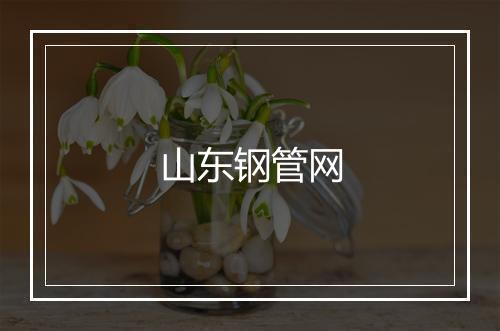 山东钢管网