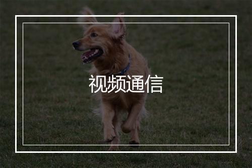 视频通信