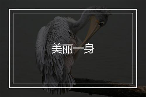 美丽一身