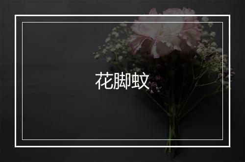 花脚蚊