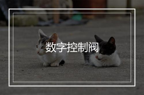 数字控制阀