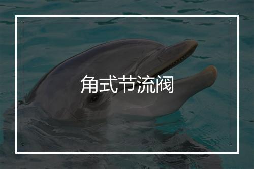 角式节流阀