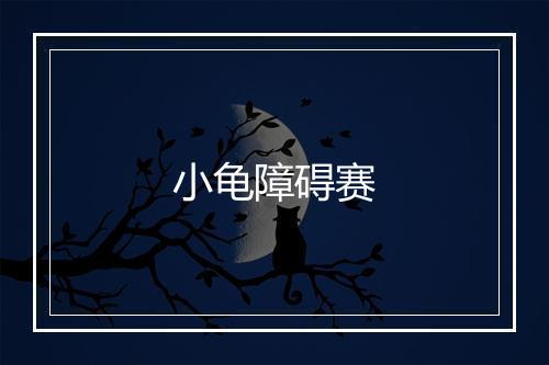 小龟障碍赛