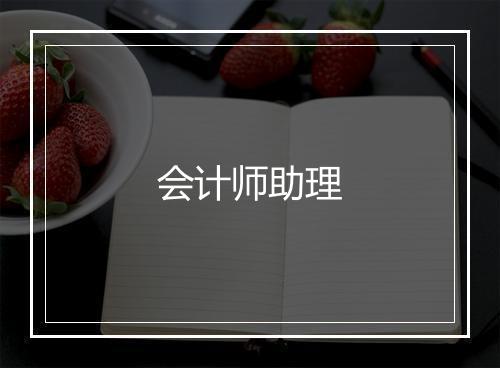 会计师助理