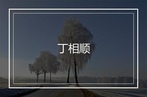 丁相顺