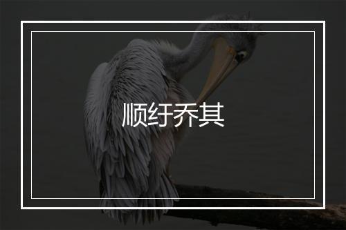 顺纡乔其