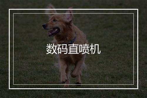 数码直喷机