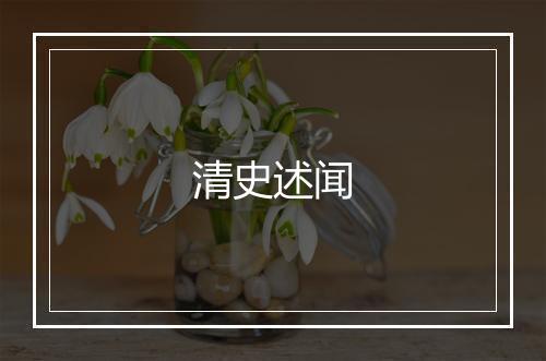 清史述闻