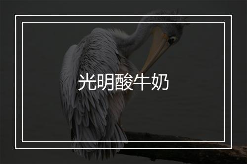 光明酸牛奶