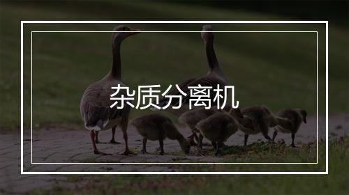 杂质分离机