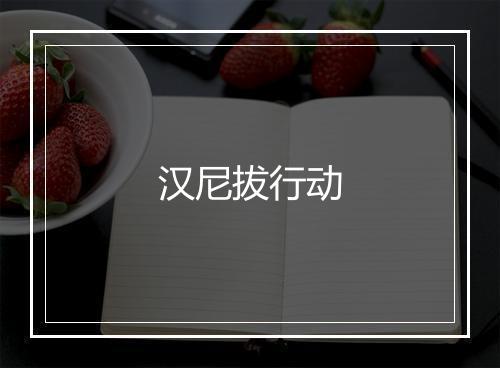 汉尼拔行动