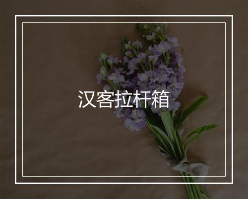 汉客拉杆箱