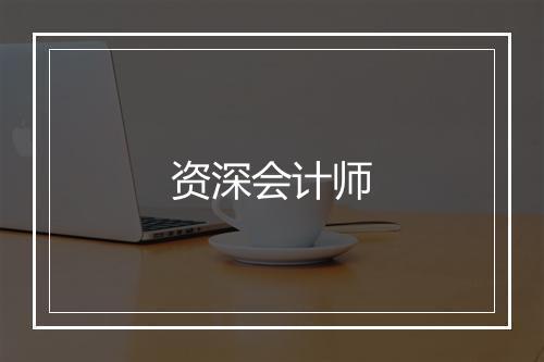 资深会计师