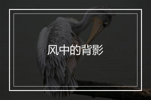 风中的背影