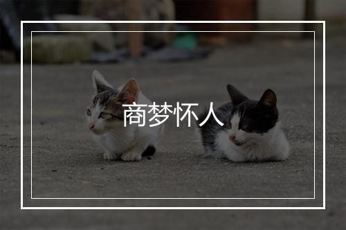 商梦怀人