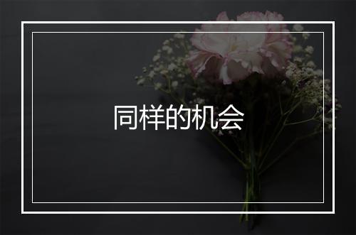 同样的机会