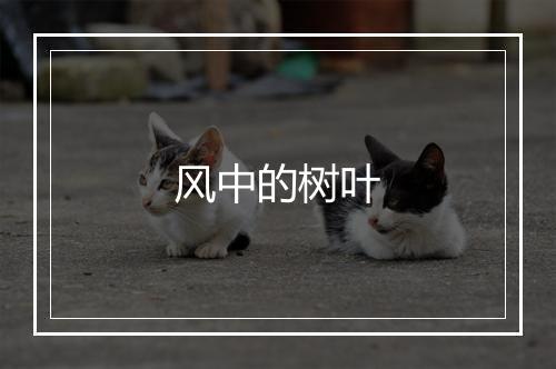 风中的树叶