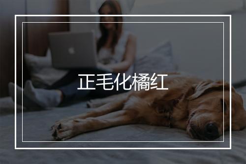 正毛化橘红