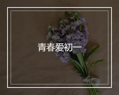 青春爱初一