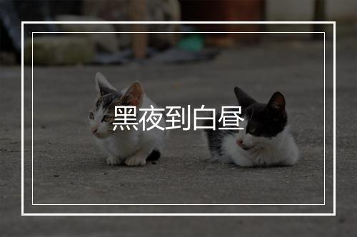 黑夜到白昼