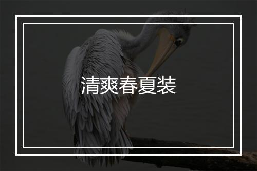 清爽春夏装