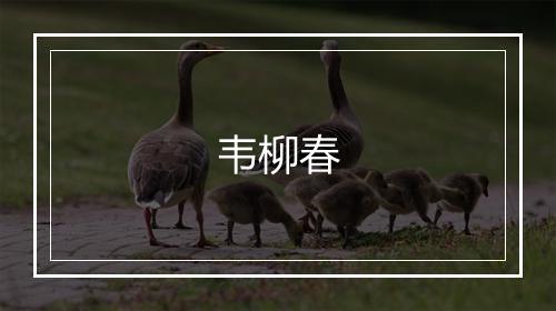 韦柳春