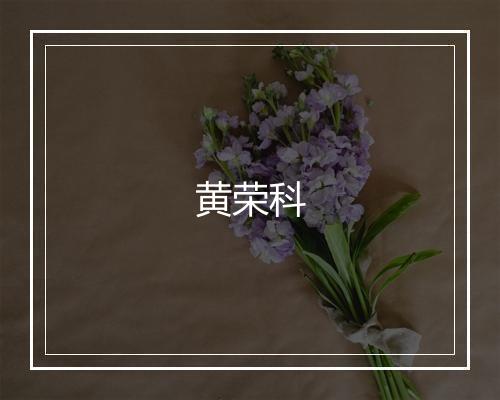 黄荣科