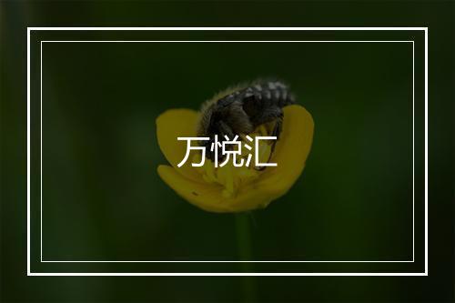 万悦汇