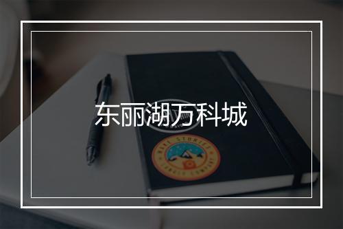 东丽湖万科城