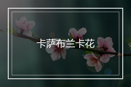 卡萨布兰卡花