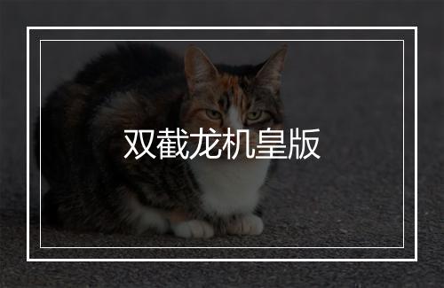 双截龙机皇版