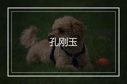 孔刚玉