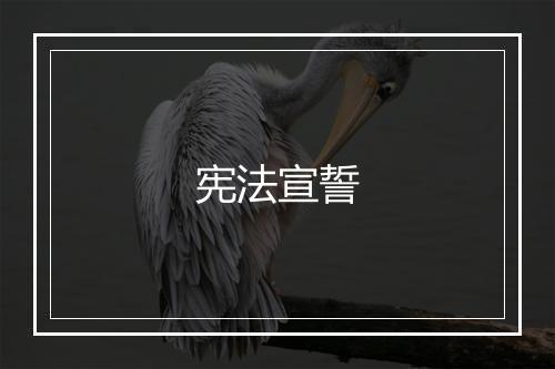 宪法宣誓