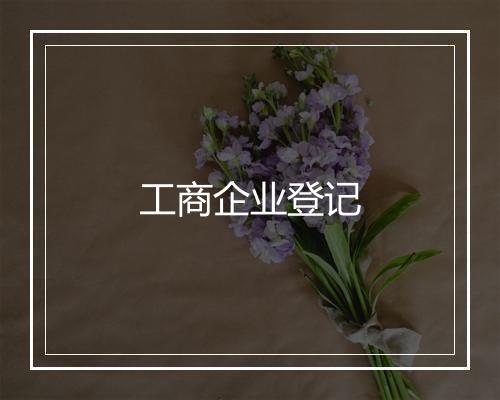 工商企业登记