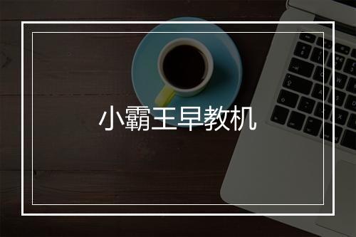 小霸王早教机