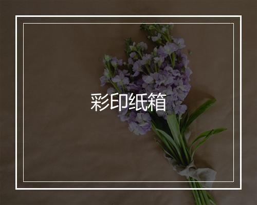 彩印纸箱