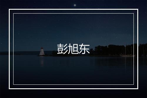 彭旭东