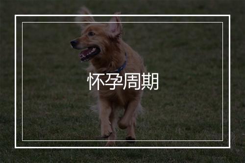 怀孕周期