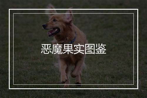 恶魔果实图鉴