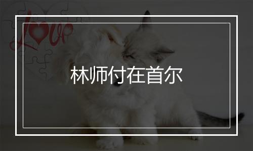 林师付在首尔