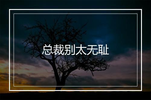 总裁别太无耻