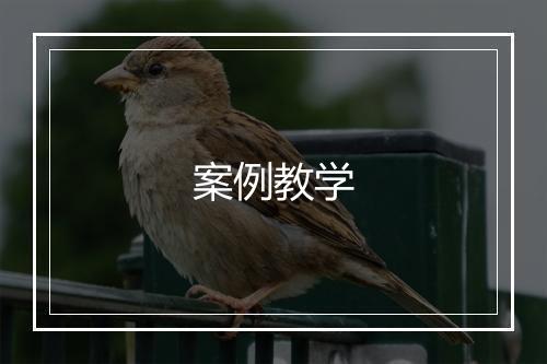 案例教学