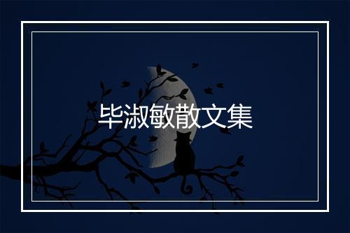 毕淑敏散文集