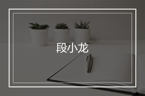 段小龙