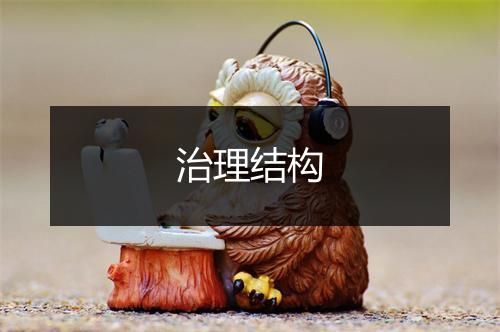 治理结构