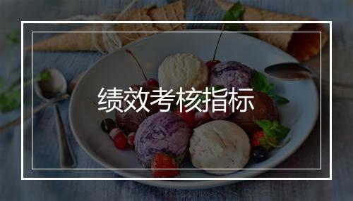 绩效考核指标